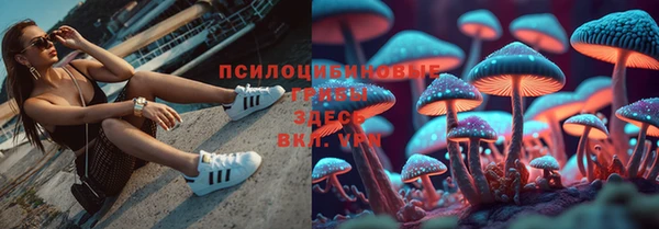 герыч Алзамай